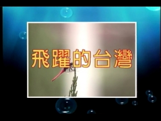 中天電視36台2007年７月『飛躍的台灣』